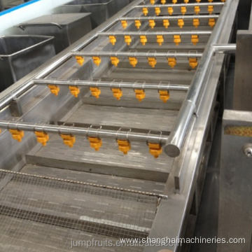 Fruit and vegetable washing and sorting machine